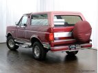 Thumbnail Photo 9 for 1991 Ford Bronco